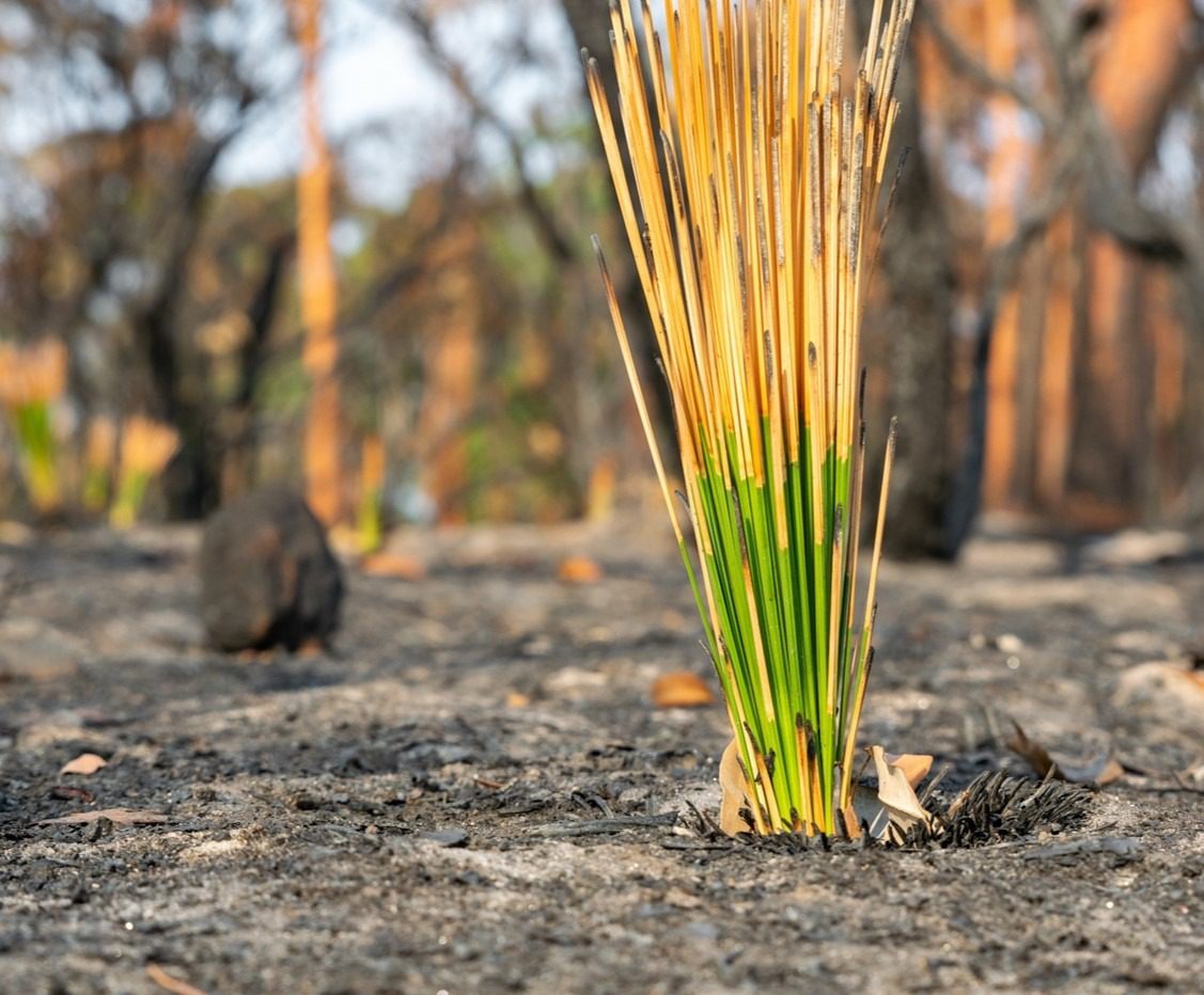 Leadership in Challenging Times